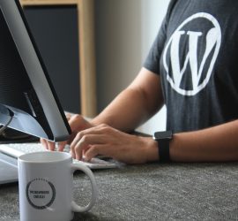 WordPress Website Setup and Customization