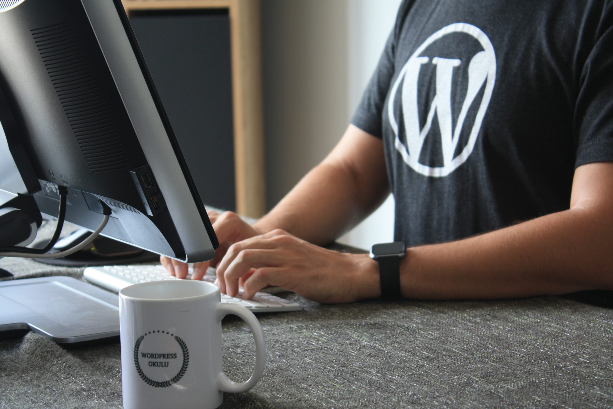 WordPress Website Setup and Customization