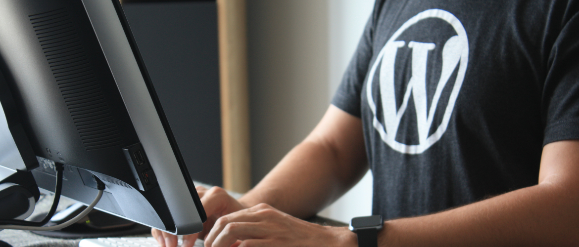WordPress Setup and Customization