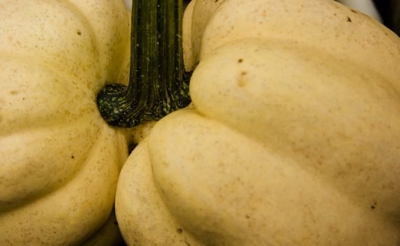 sofie dittmann product food photography