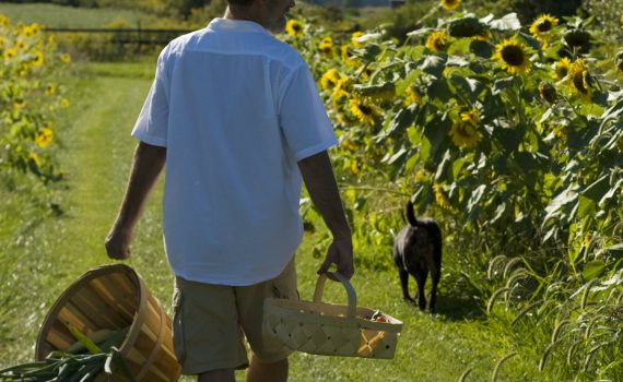 sofie dittmann product food photography