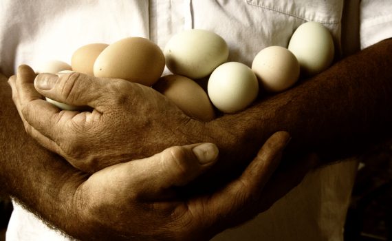 sofie dittmann product food photography