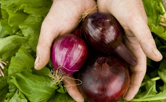 sofie dittmann product food photography