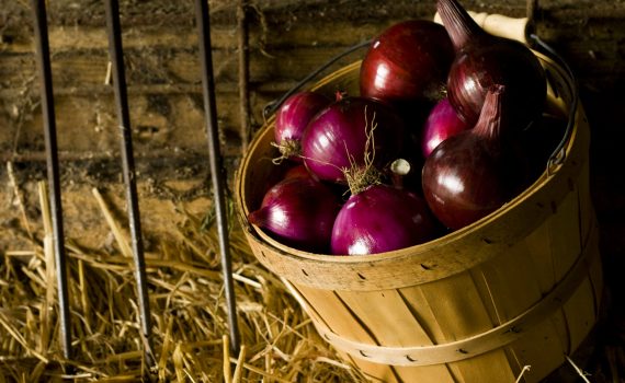 sofie dittmann product food photography