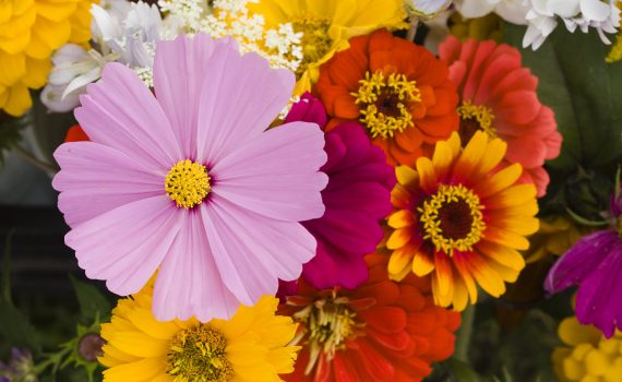 sofie dittmann product food photography