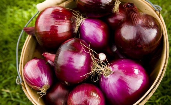 sofie dittmann product food photography