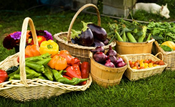 sofie dittmann product food photography