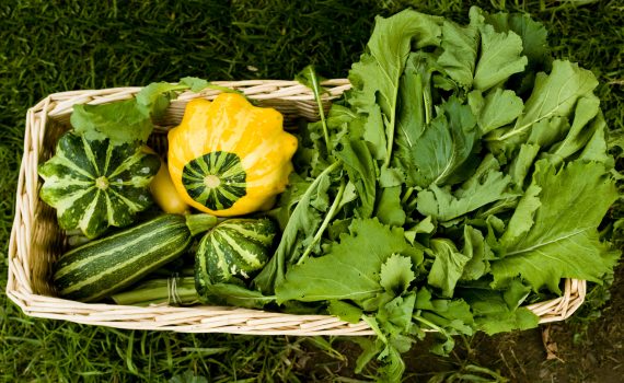 sofie dittmann product food photography